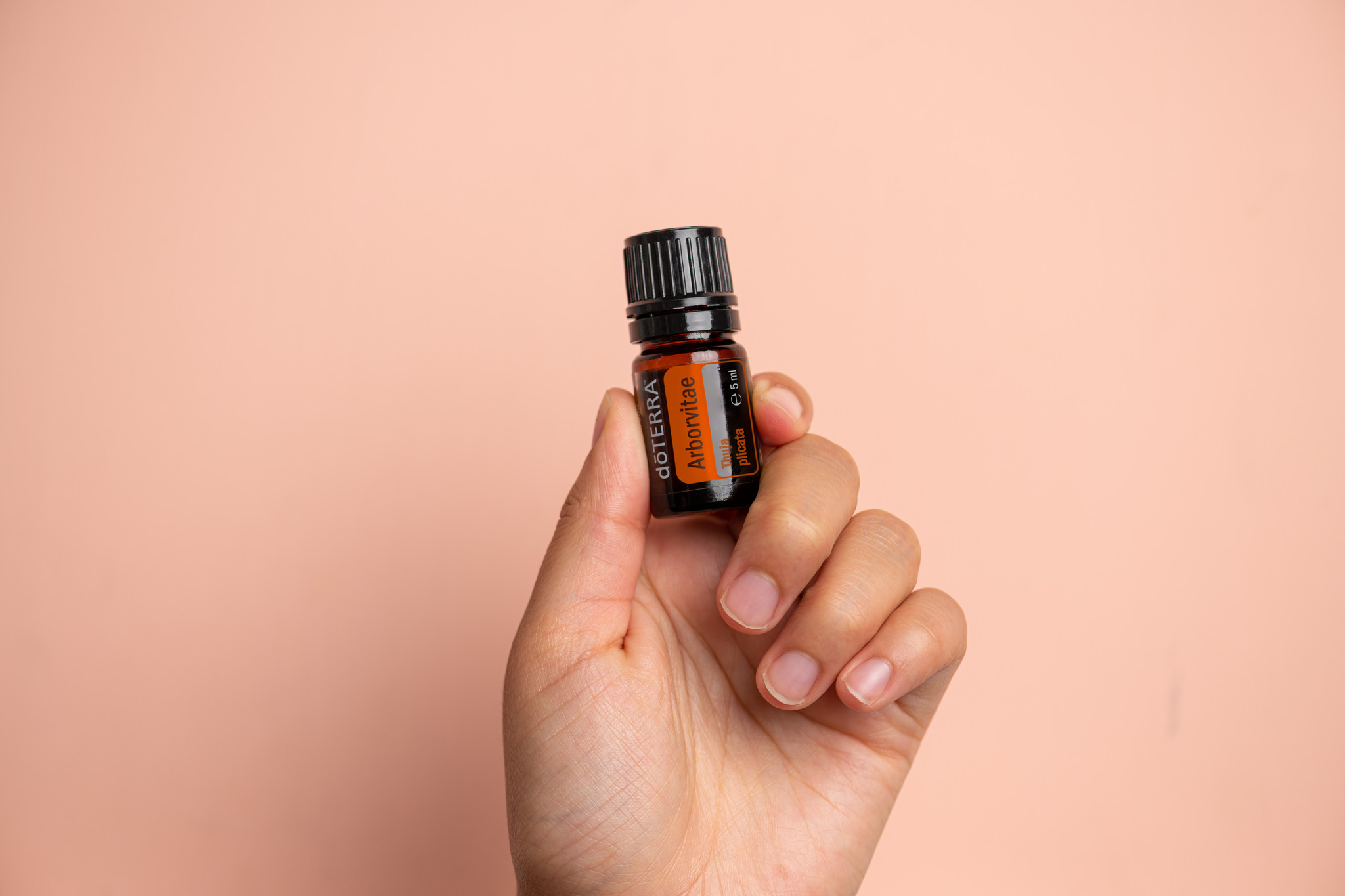 Óleo Essencial Arborvitae - Image 2
