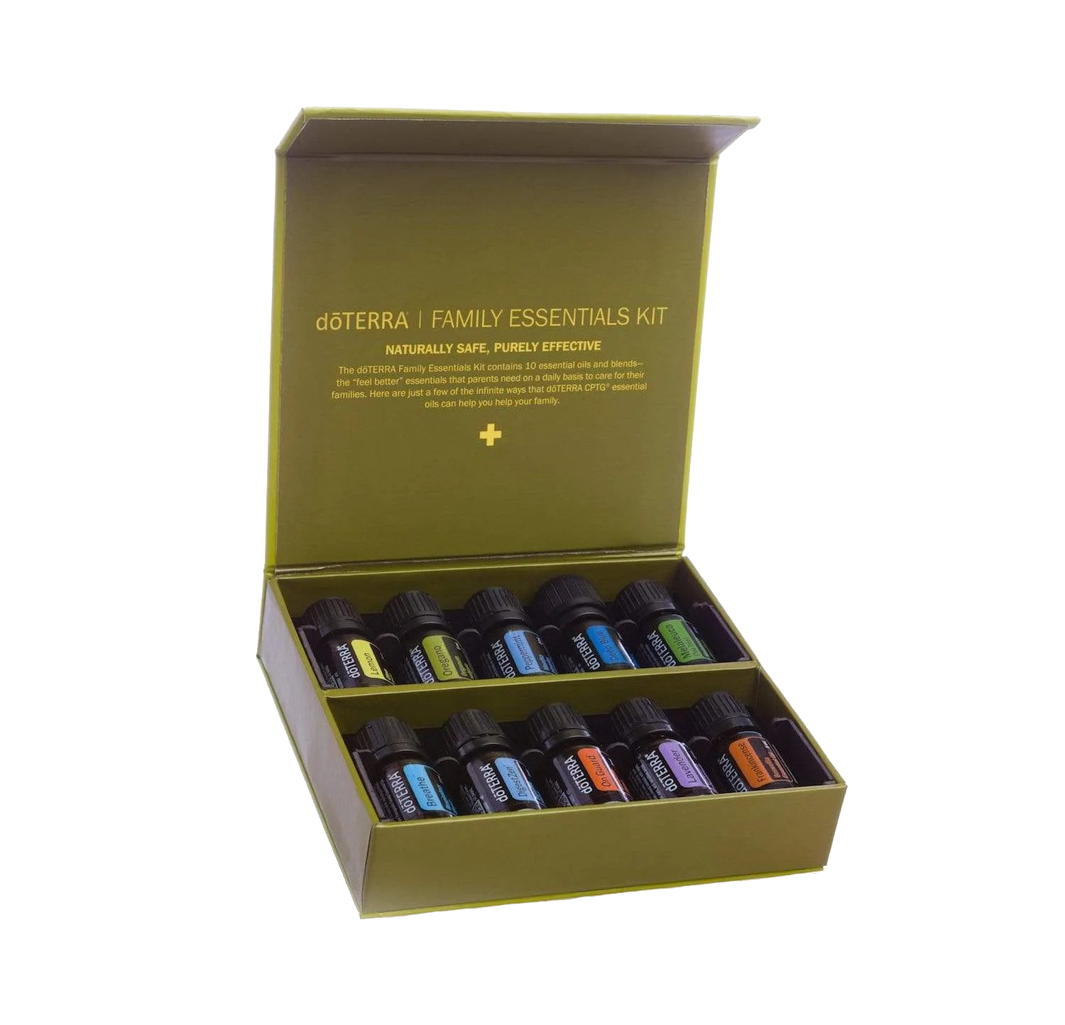 Kit Essenciais Familiar