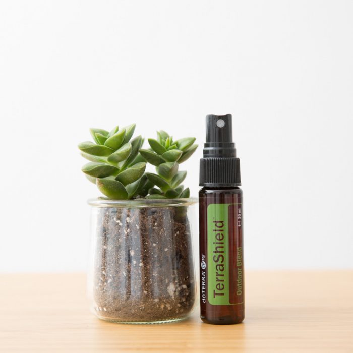 Óleo Essencial Spray Terrashield™ - Image 2
